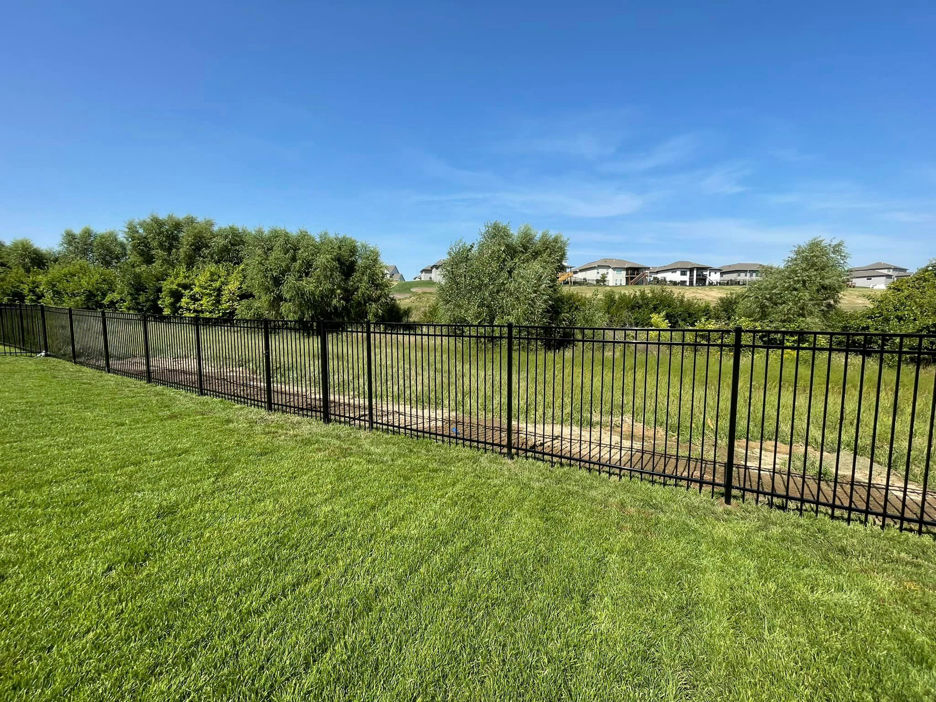 Ornamental iron fence