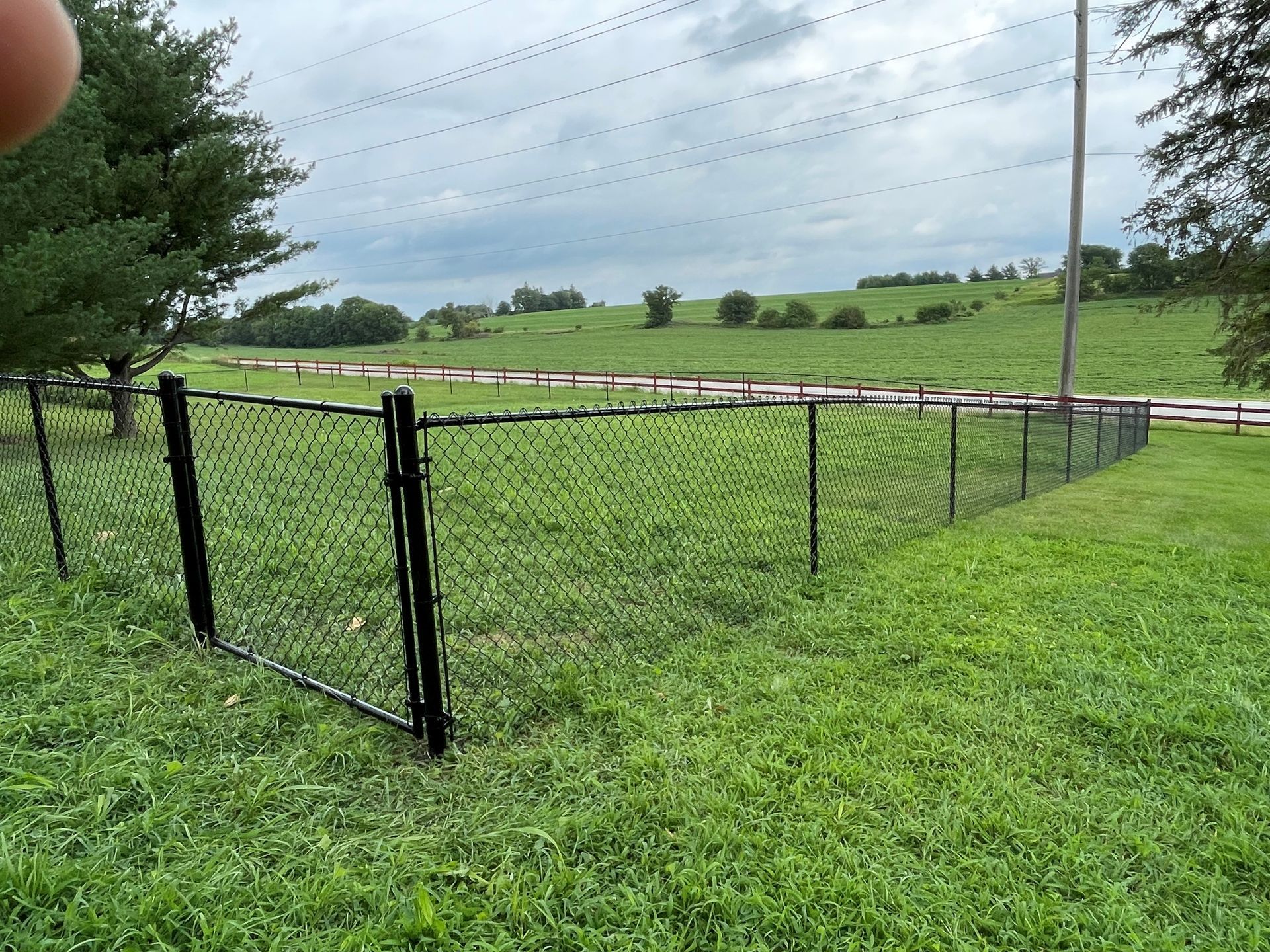 Black chain link fence with a gate, in a grassy field, under a cloudy sky.