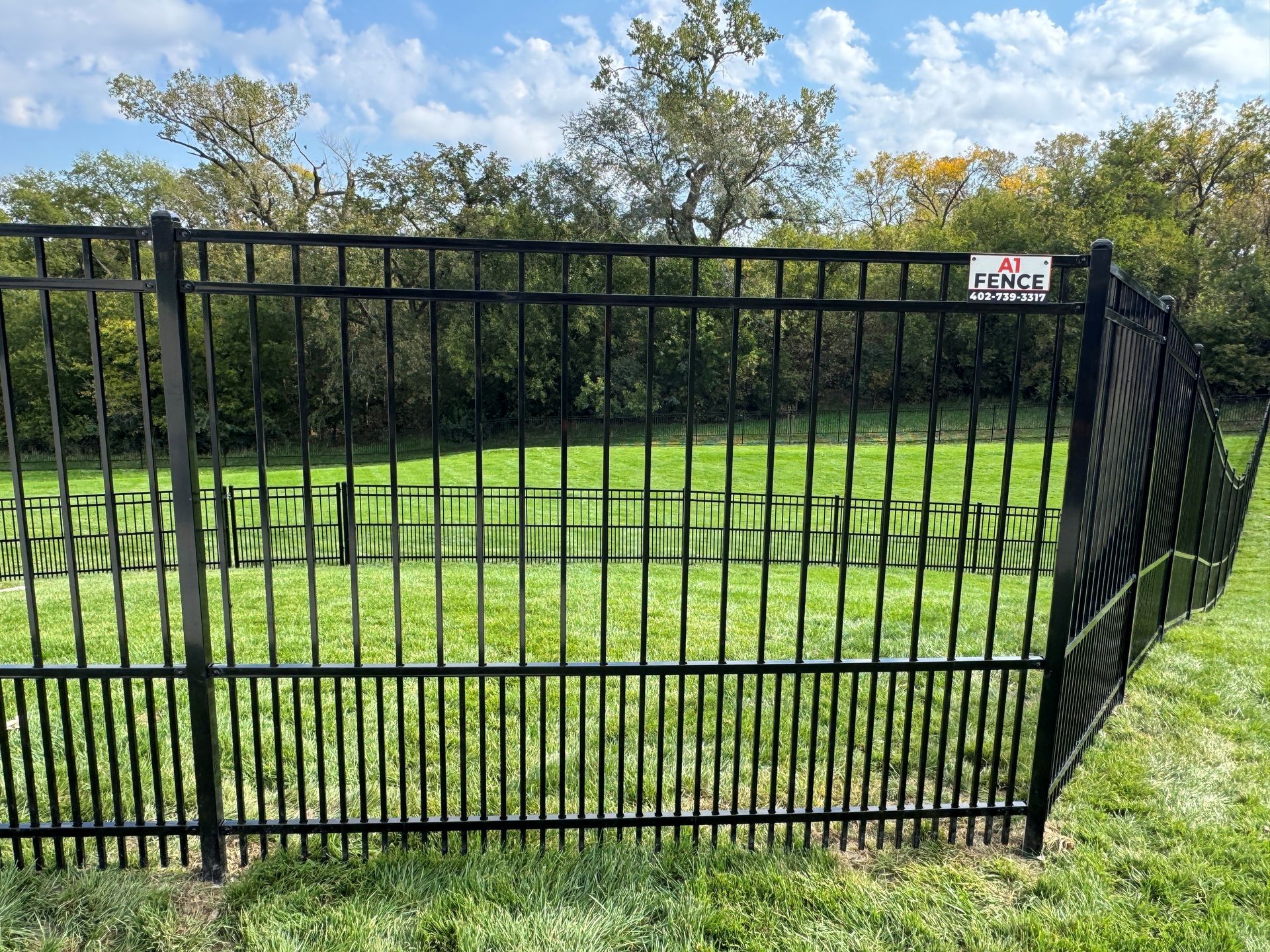 Black metal fence surrounds a grassy area, with trees and a blue sky in the background.