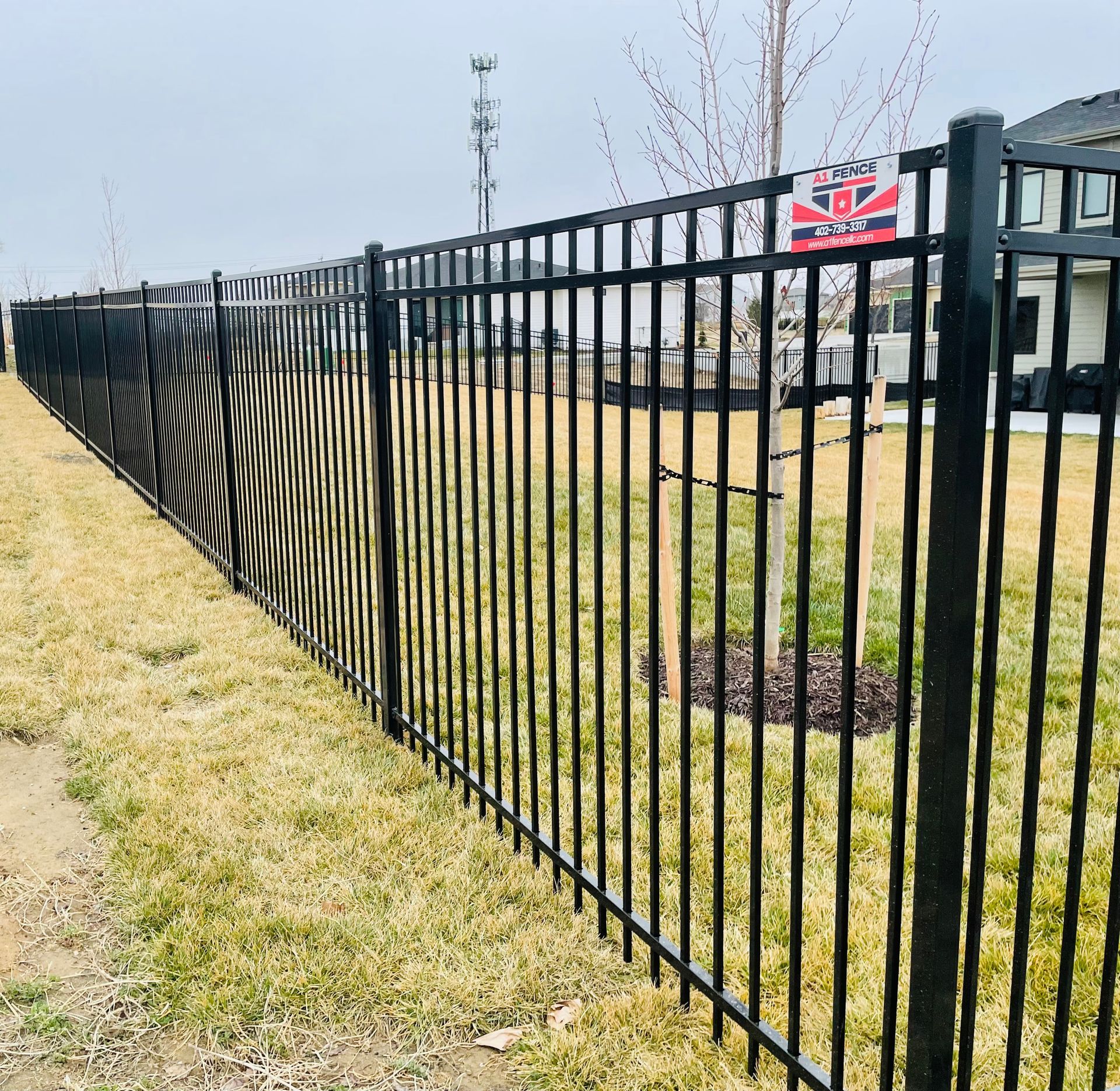 Black metal fence on a grassy lot, with a small tree and a residential background.