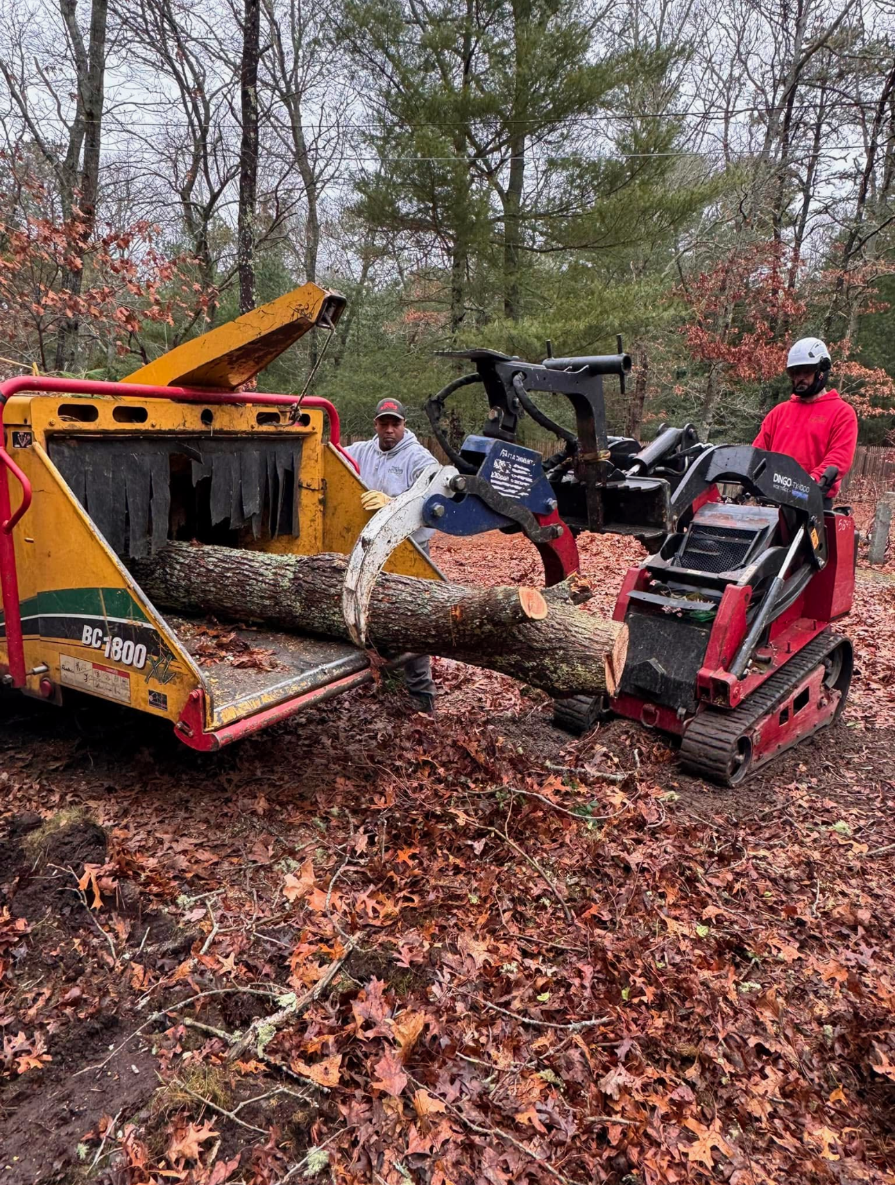 A man is standing next to a tree chipper in the woods.