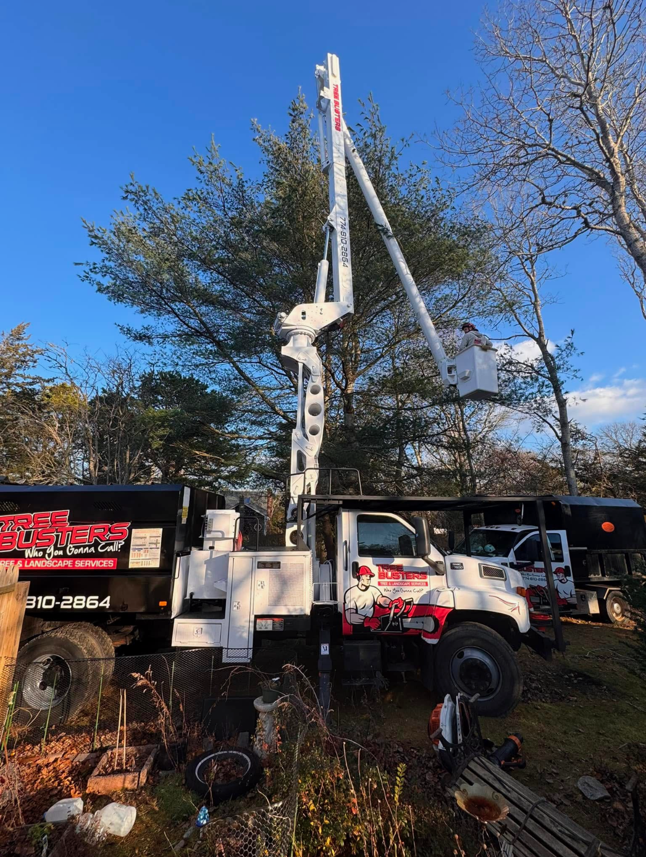 A truck with a crane on top of it is cutting a tree.