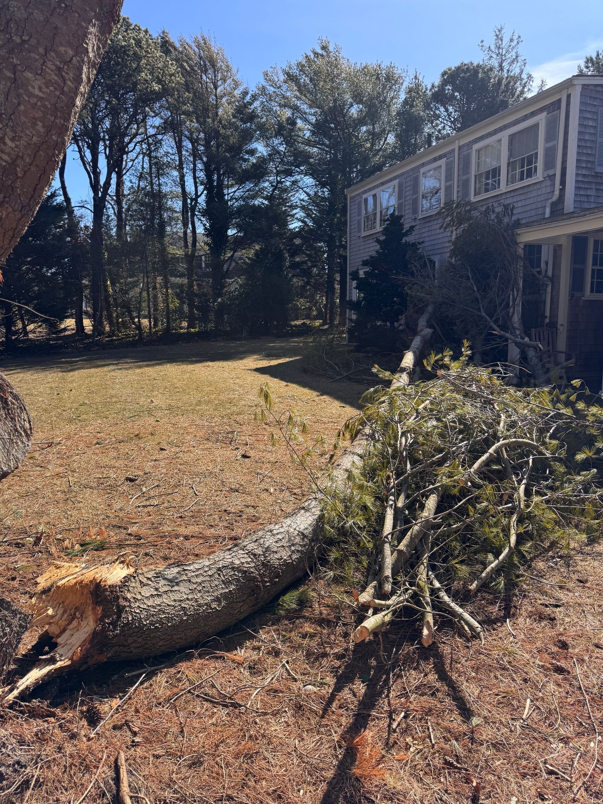 A tree stump is laying on the ground in front of a house.