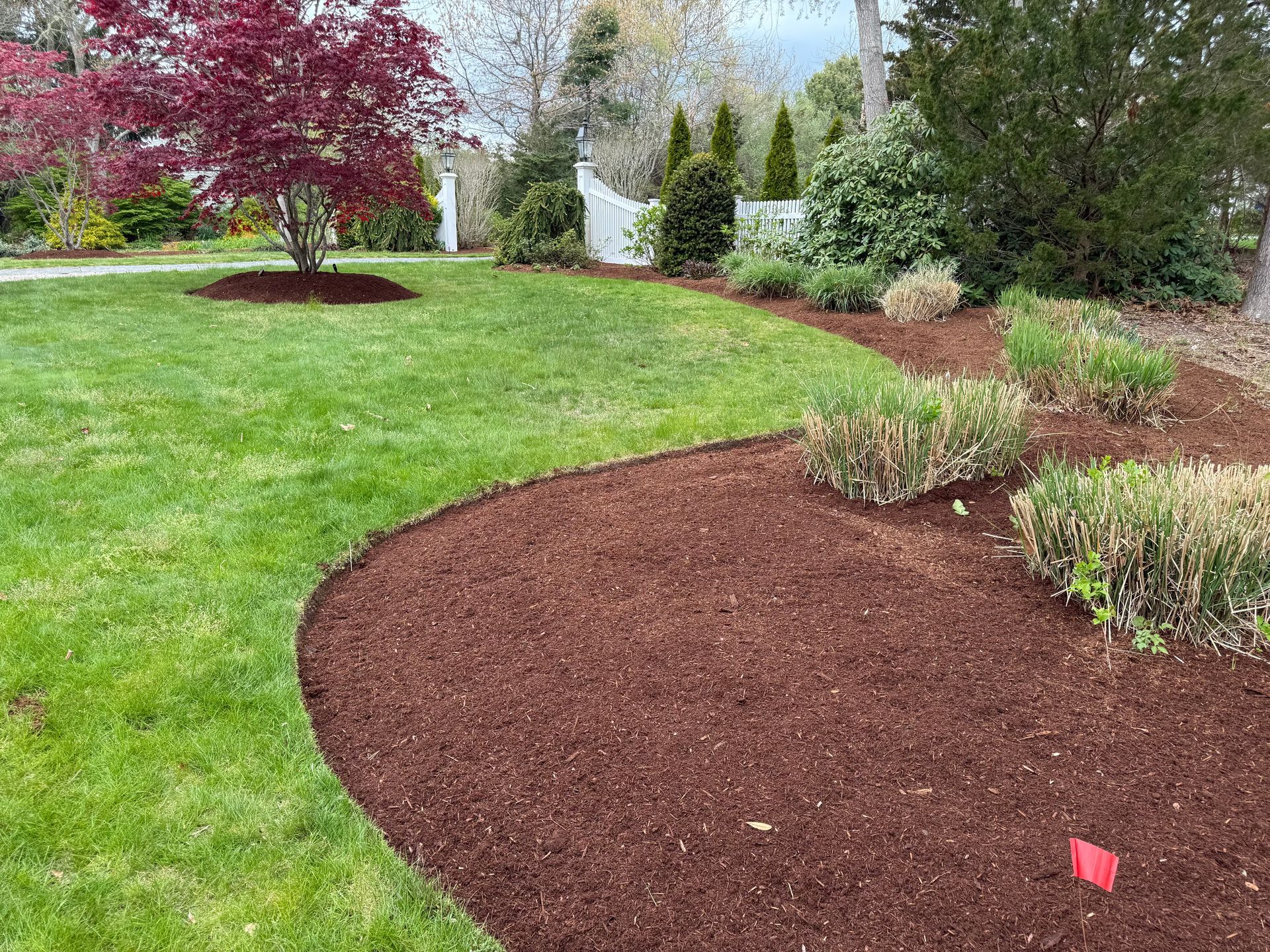 A lush green lawn with a tree in the middle of it surrounded by mulch.