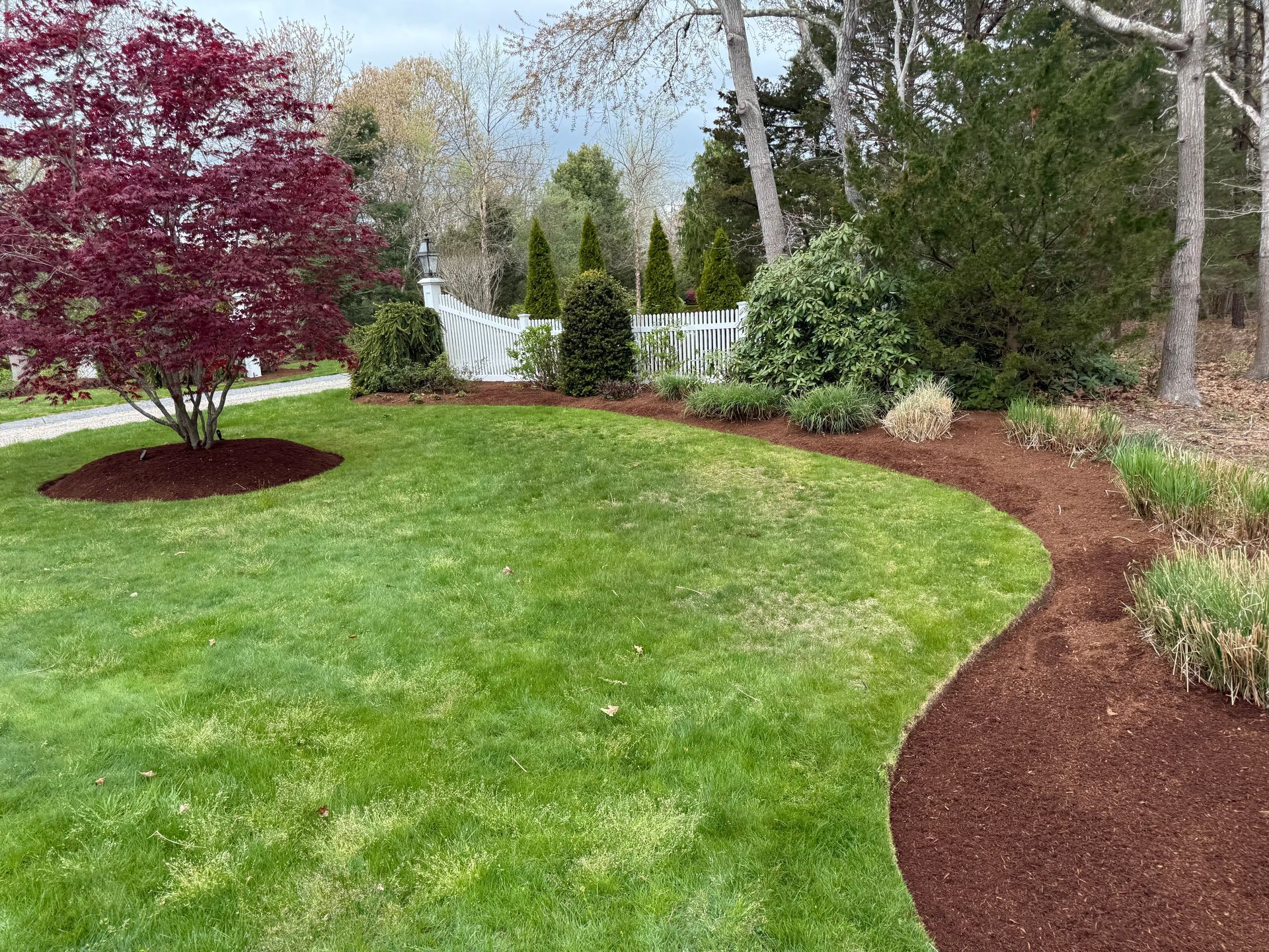 A lush green lawn with a tree and a path in the middle of it.