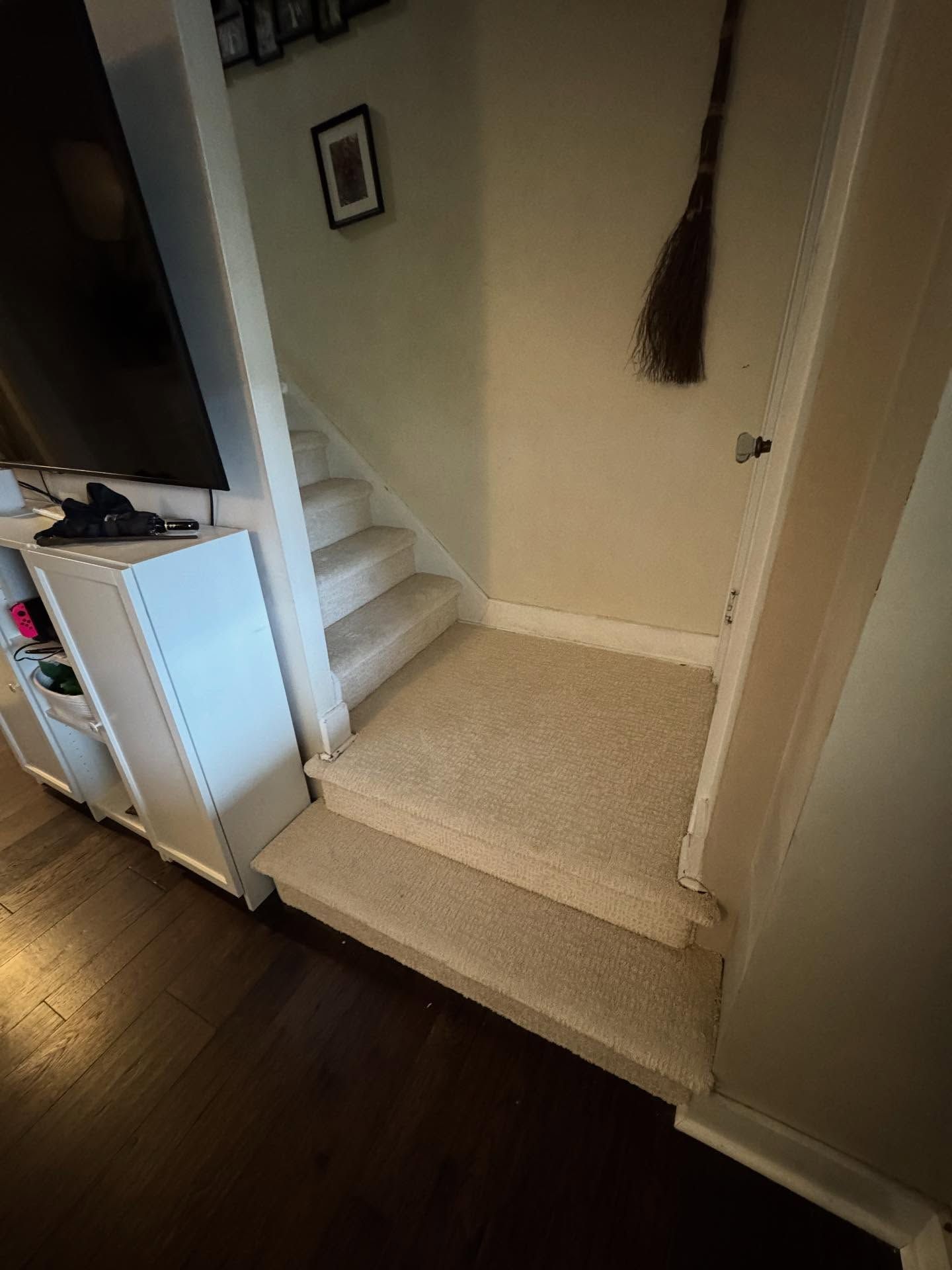 Carpeted stairs leading upwards, next to a white cabinet and a dark wooden floor.