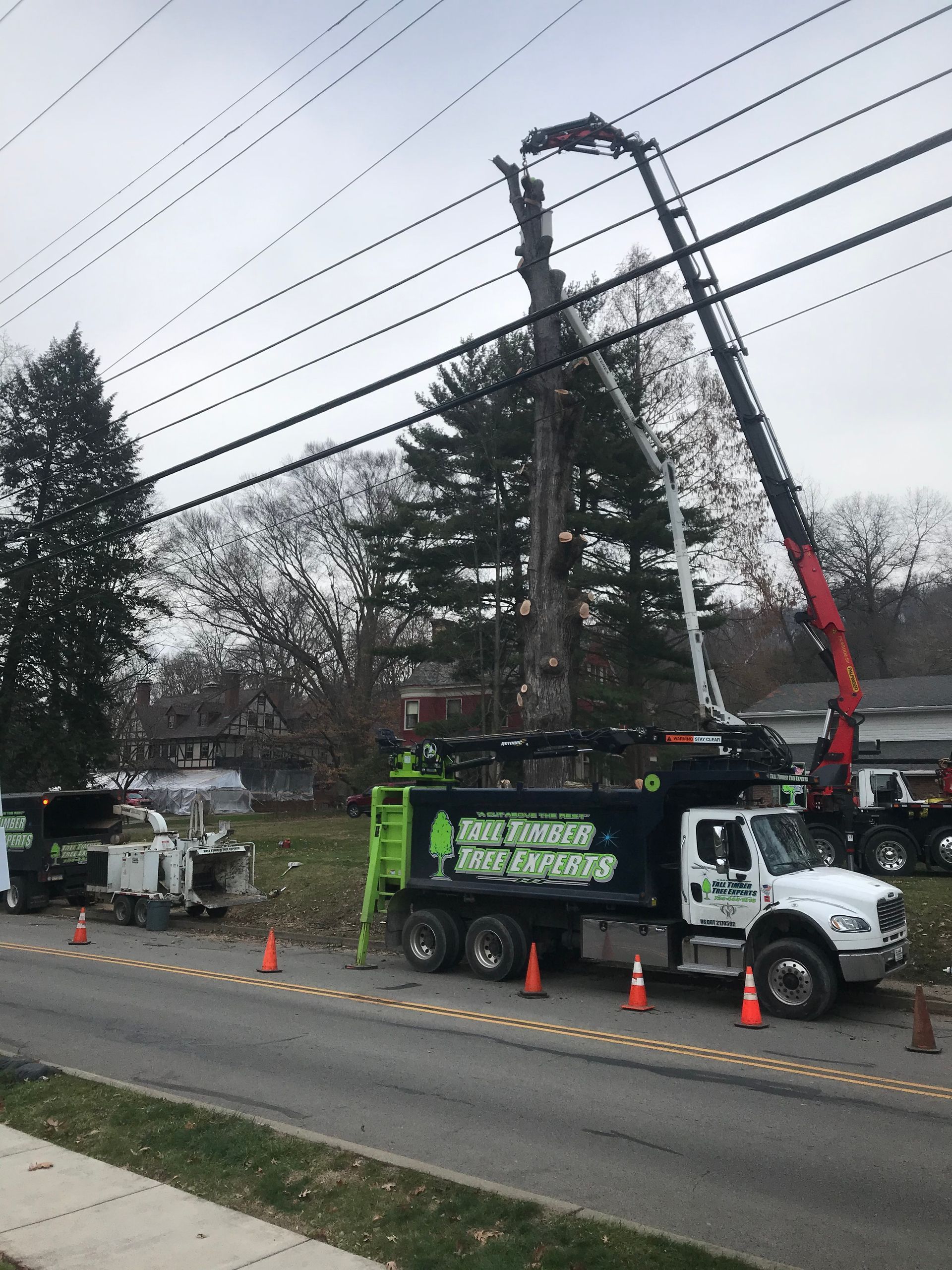 A tree cutting truck is parked on the side of the road.