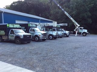 A row of trucks parked in front of a building