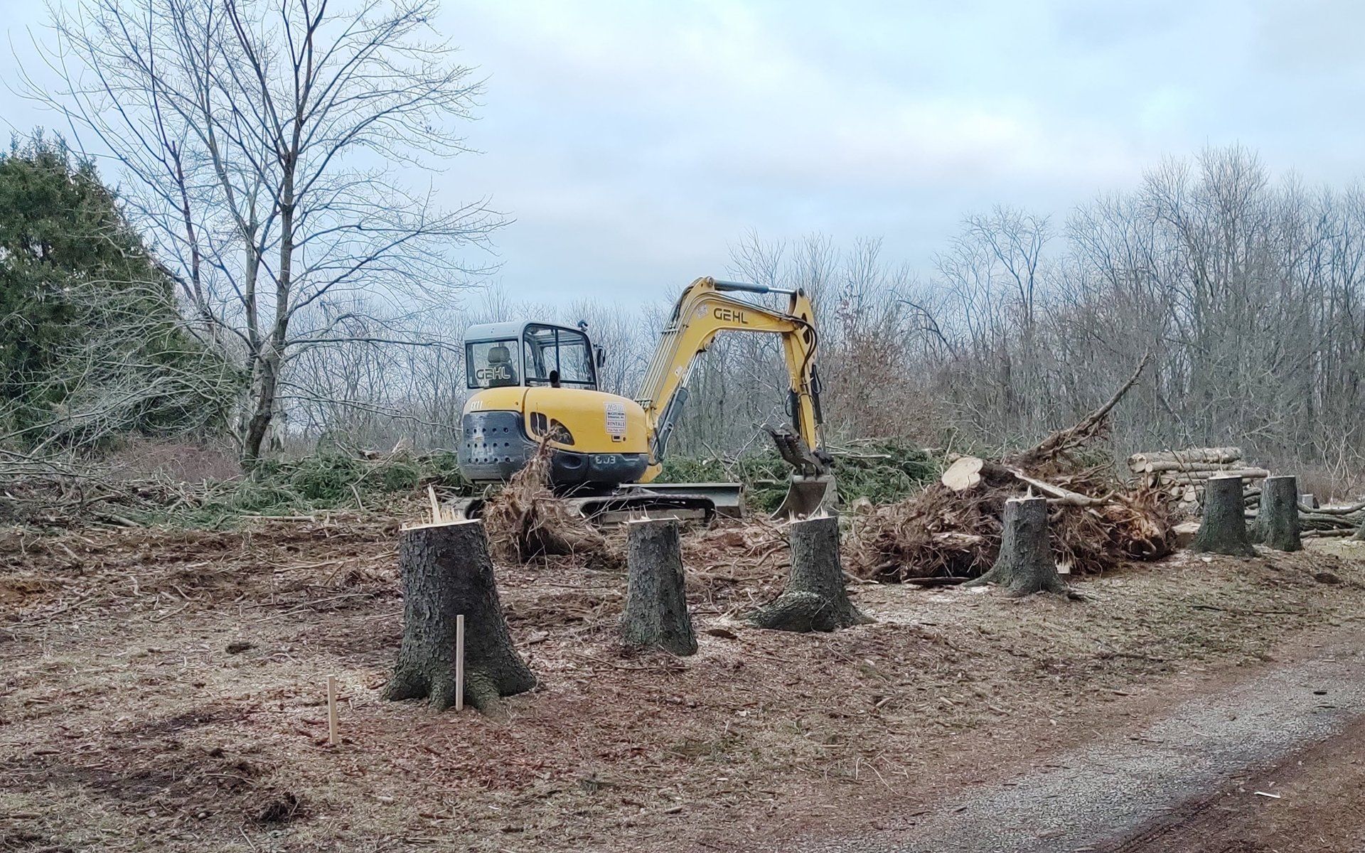 Site Development