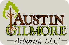 Austin Gilmore Arborist LLC - logo