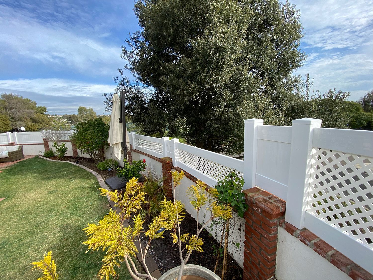 Lush backyard with a white lattice fence, green grass, and yellow flowers under a cloudy blue sky.
