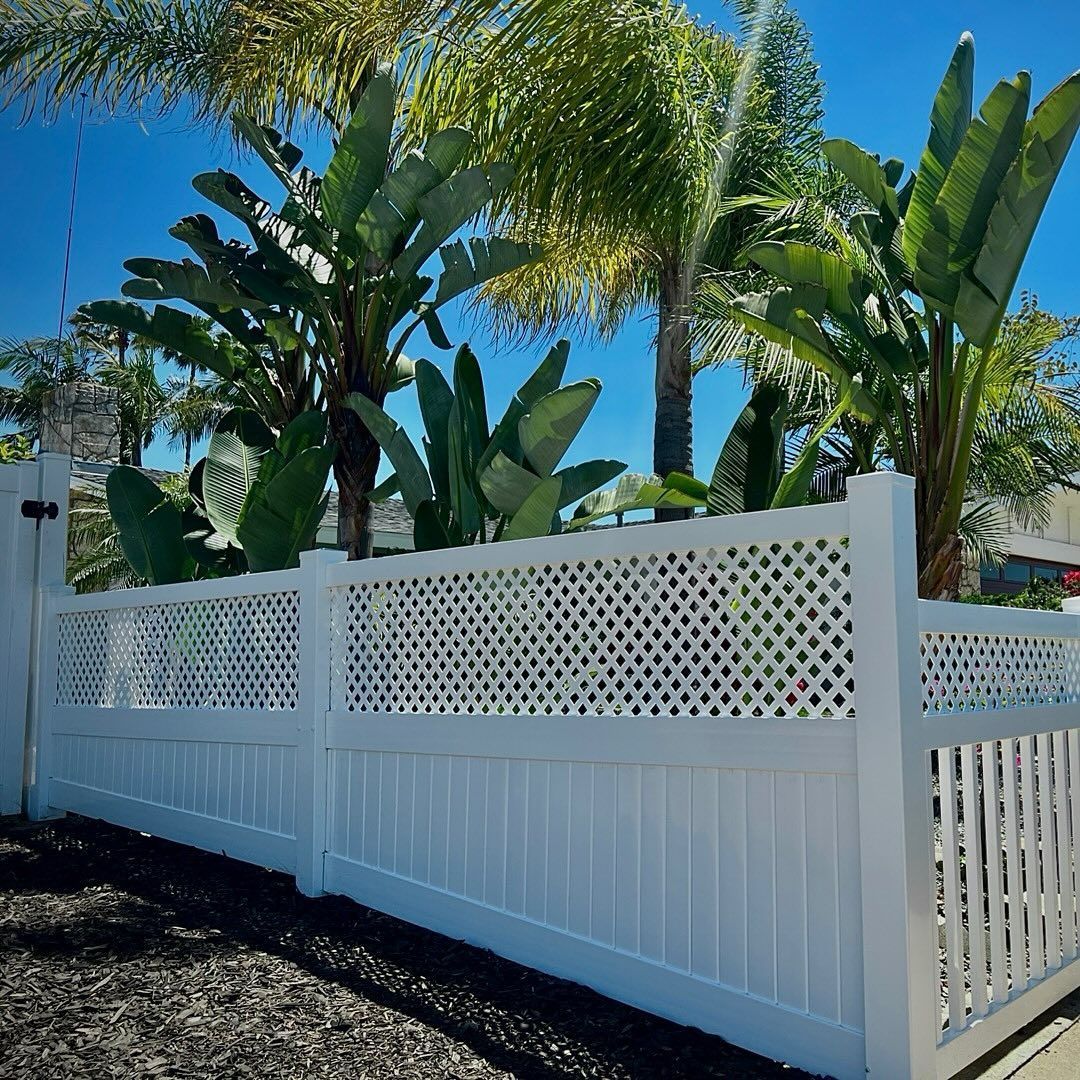 White lattice-top fence with green plants and palm trees against a blue sky.