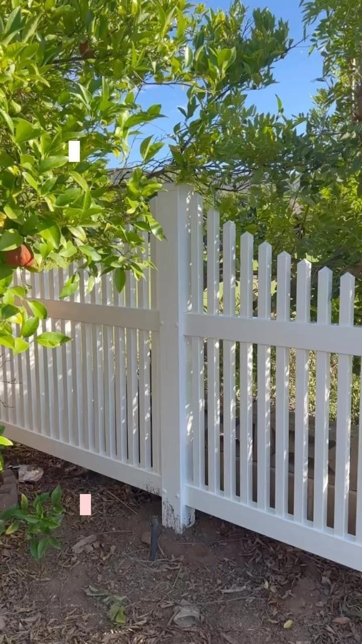White picket fence in front of lush green trees under a blue sky.