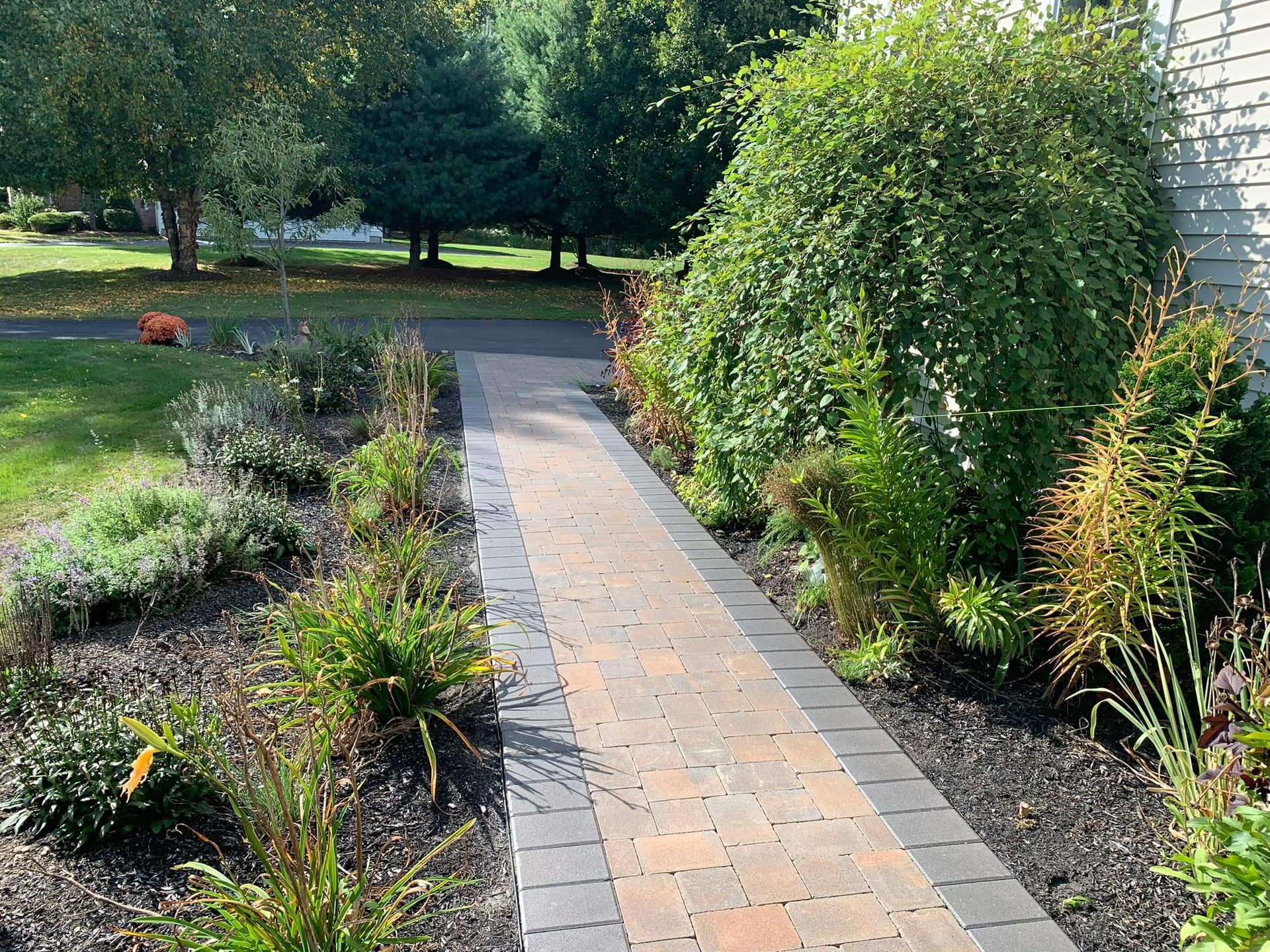 A brick walkway leading to a house surrounded by trees and bushes.