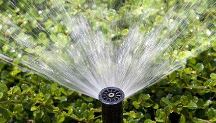 Sprinkler System