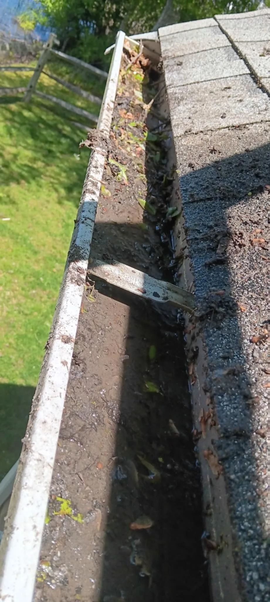 Narrow rooftop gutter clogged with leaves and debris beside a green lawn