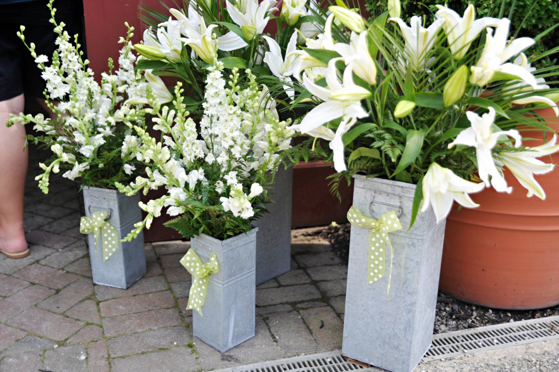 _LOV2281-2831277891-O