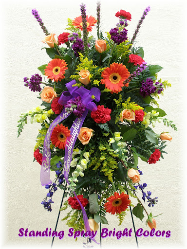 Standing-Spray-Bright-Colors