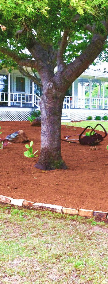 Tree care