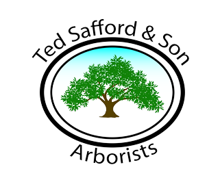 Ted Safford & Son, Arborists - logo