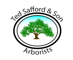 Ted Safford & Son, Arborists - logo