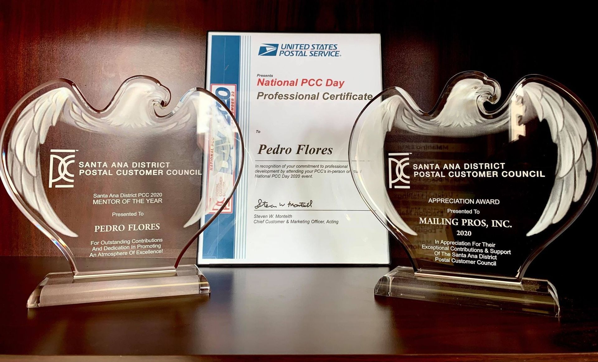 Two glass eagle trophies and a certificate on a shelf.