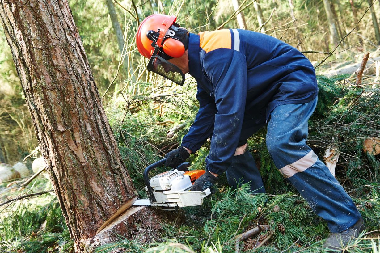 Mid-Tenn Tree & Lawn Service