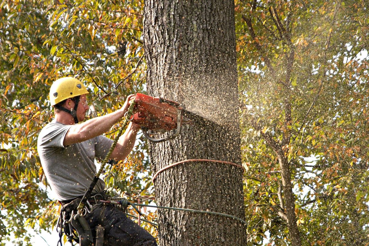 Mid-Tenn Tree & Lawn Service