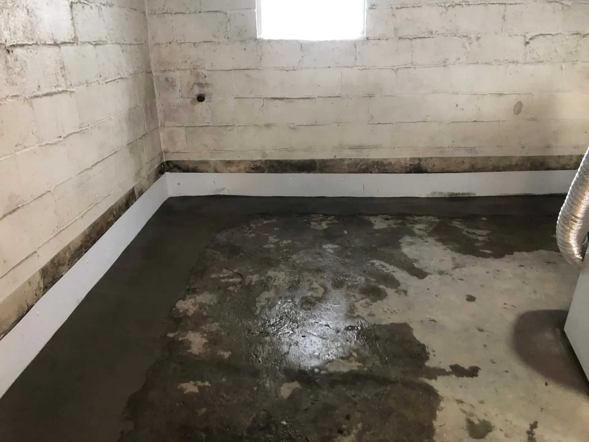Basement room with bare cinderblock walls and a wet concrete floor