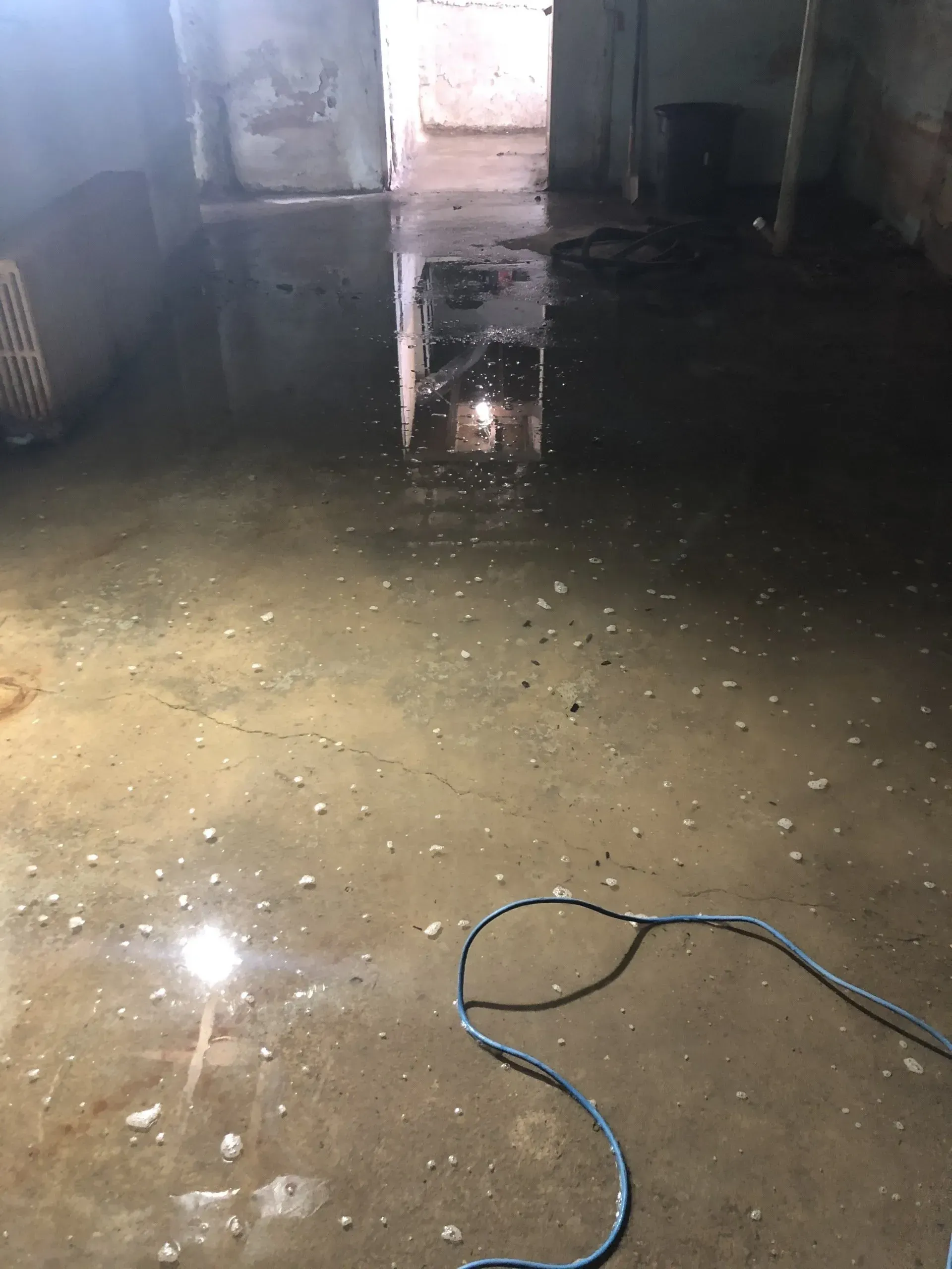Flooded room with standing water, a doorway in back, and a cord lying on the wet floor.