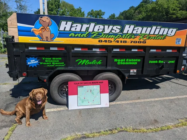Harleys Hauling truck with dog beside it and a signboard in front, parked outdoors on a sunny day