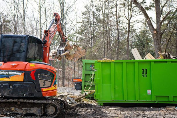 Orange excavator loading debris into green dumpster in a wooded construction site