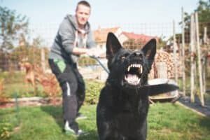 Dog owner trying to hold back an aggressive dog on private property