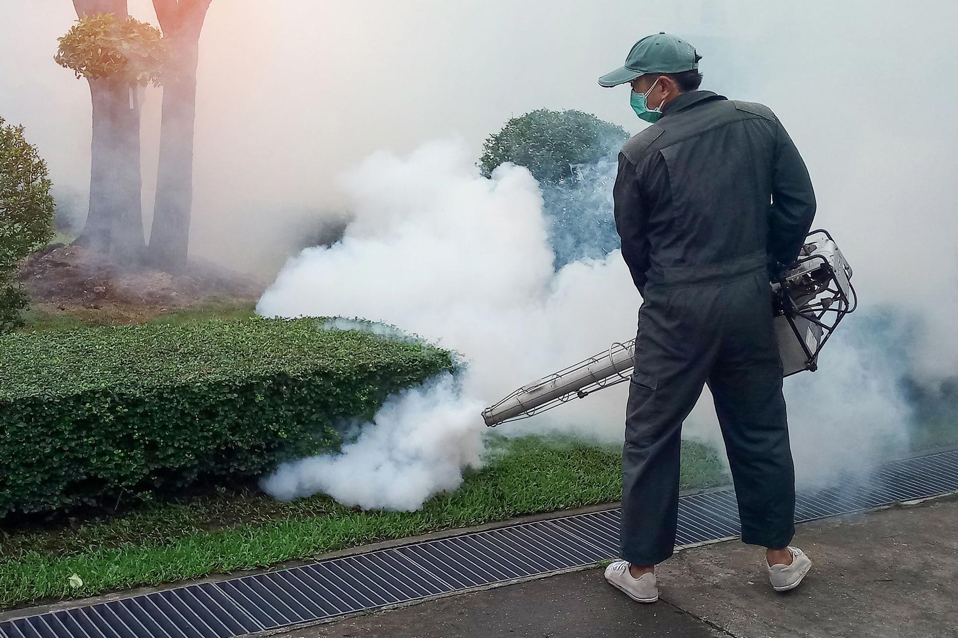 A man wearing a mask is spraying smoke in a garden.