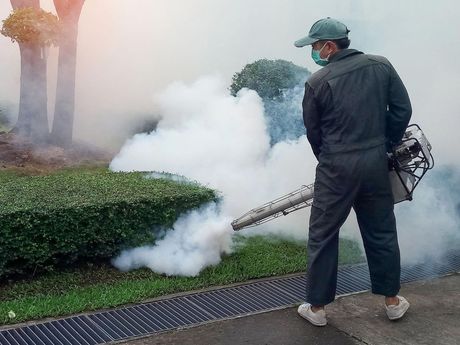 A man wearing a mask is spraying smoke in a garden.