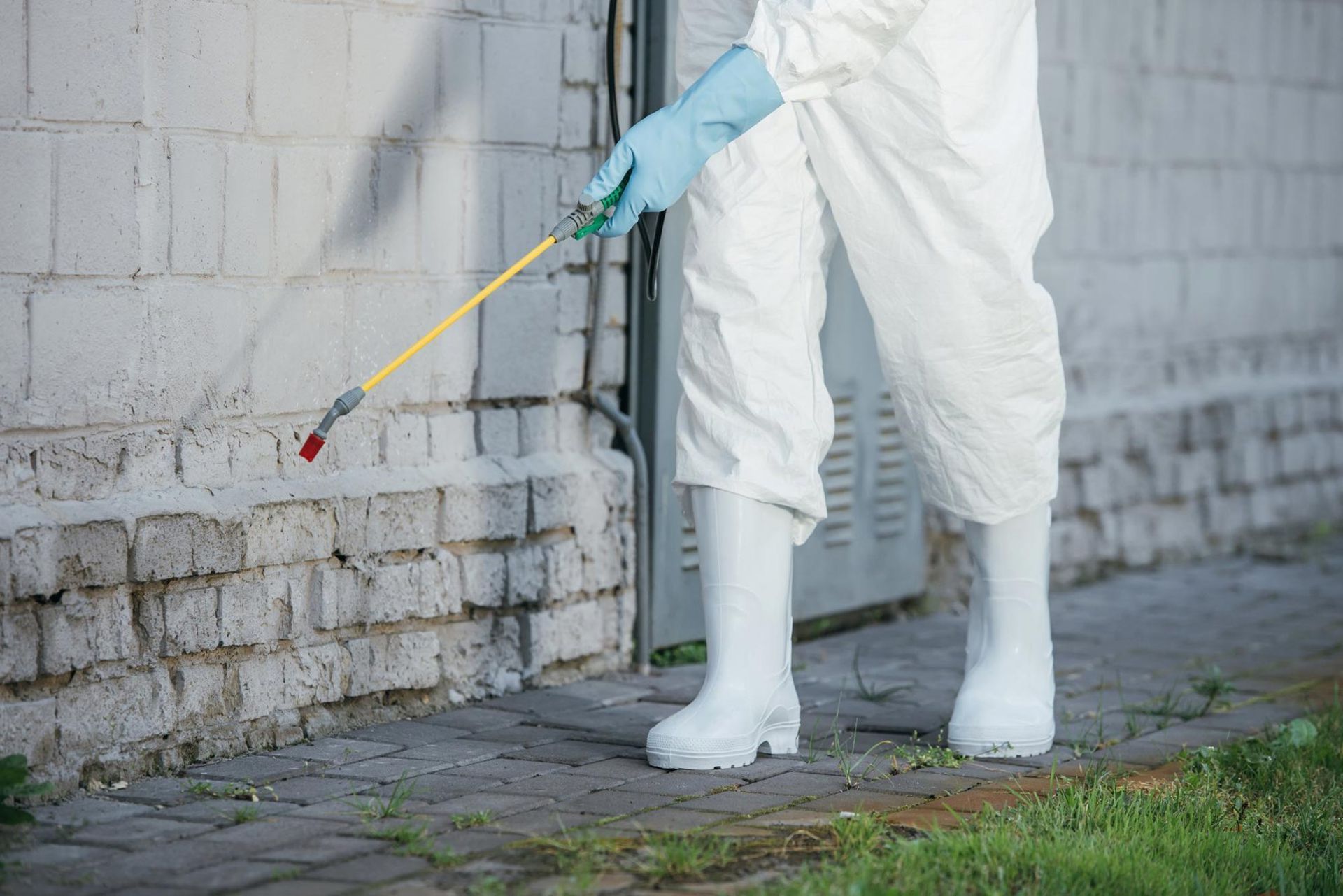 A person is spraying a brick wall with a sprayer.