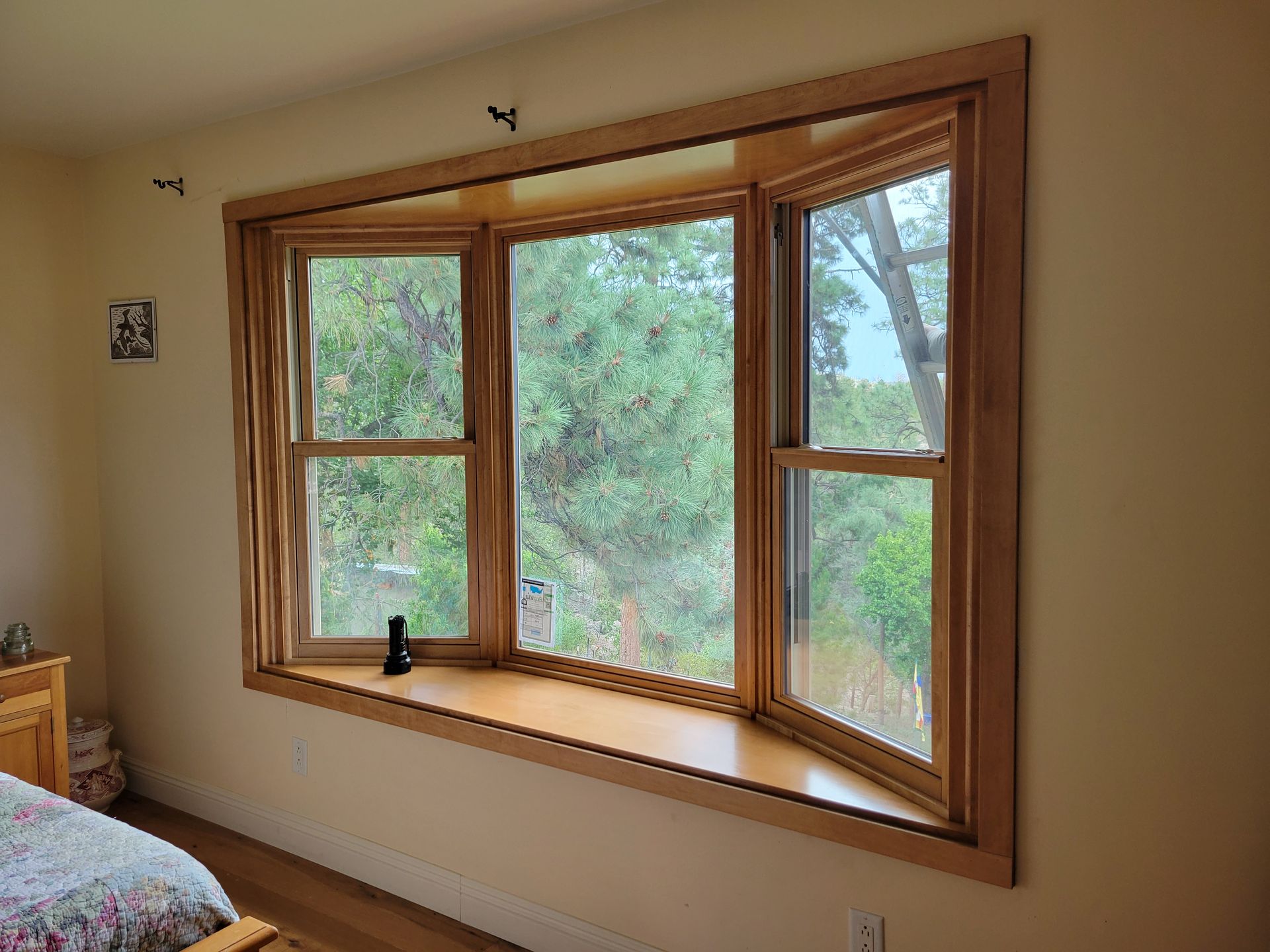 Bay window with wooden trim overlooking a green, outdoor view.