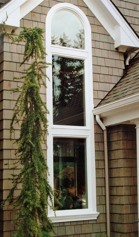 Tall white window on a shingled house, arched top. A tall evergreen tree stands to the left of the window.