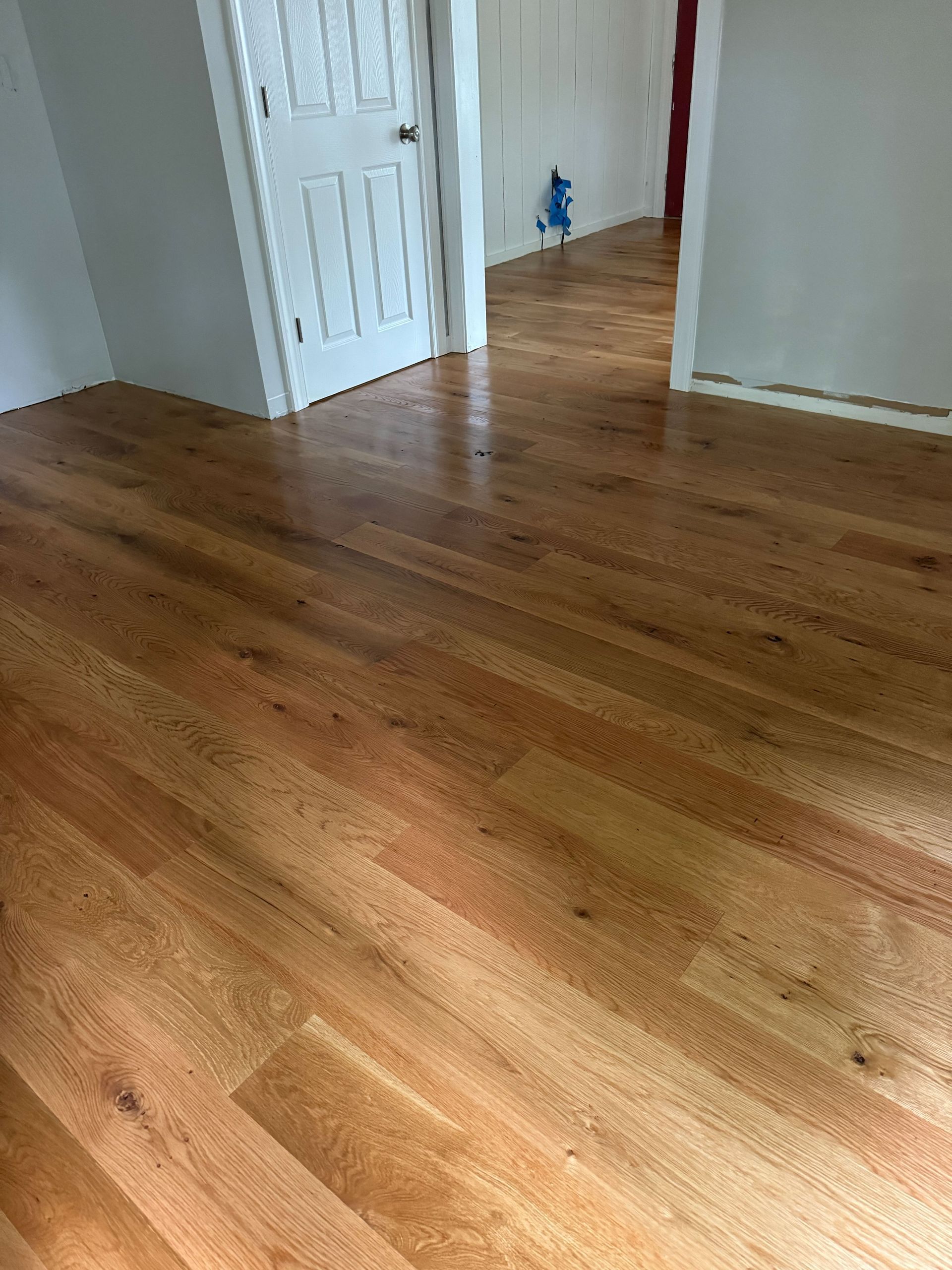 Hardwood floor in a room with a white door, and doorway leading to another room.