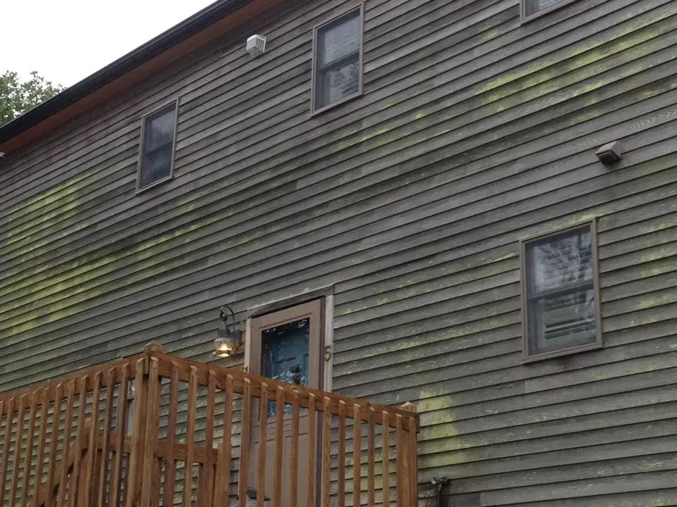 Exterior of a two-story wooden house with visible green algae growth. A wooden deck is in the foreground.