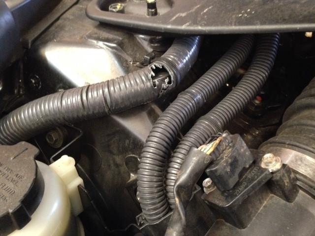 Car hose