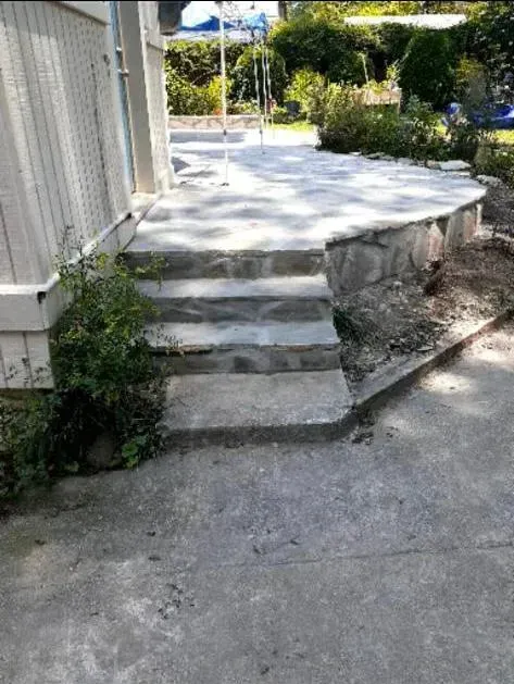 Concrete steps leading up to a raised patio. Grey concrete with overgrown greenery at the side.