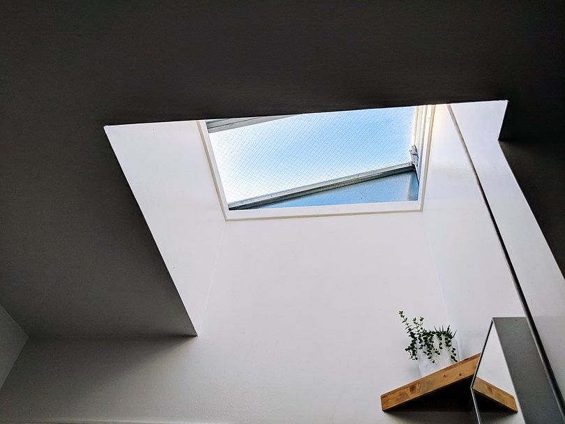 A rectangular skylight set into a white ceiling with a small green plant on a wooden shelf below.