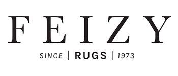 Feizy