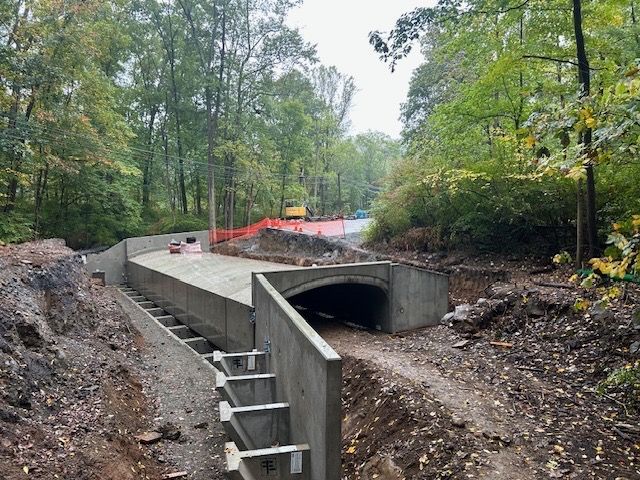 A tunnel is being built in the middle of a forest.