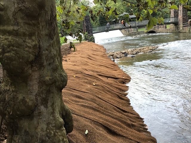 A river with a bridge in the background and a tree in the foreground.