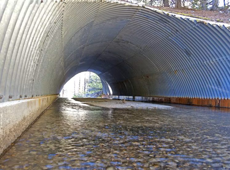 A tunnel with a river going through it and trees in the background.