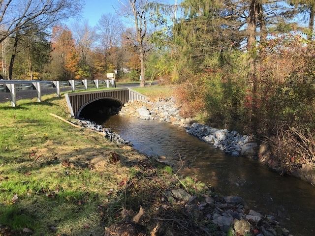 A stream running under a bridge in the middle of a forest.