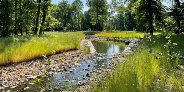 A muddy stream in the middle of a grassy field with trees in the background.