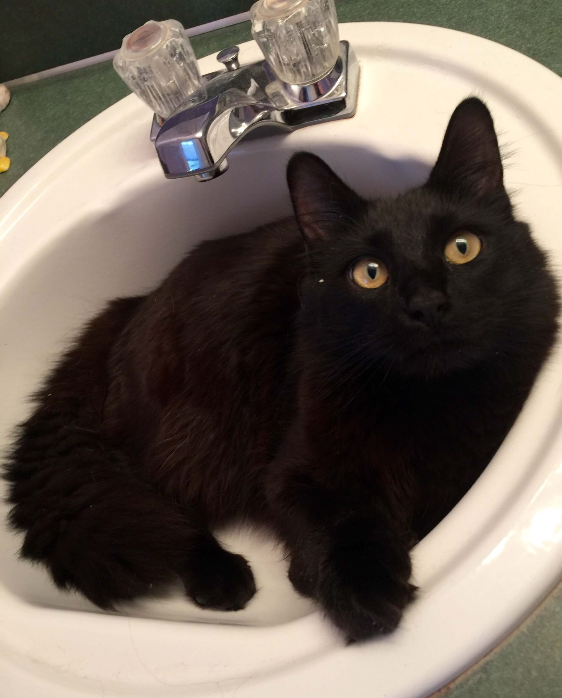 A  black cat is laying in a bathroom sink.